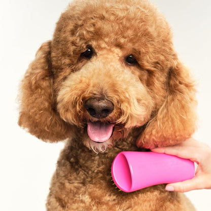 Detangling Dog Brush for Long Hair Breeds, Large, Pink & Yellow