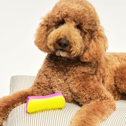 Detangling Dog Brush for Long Hair Breeds, Large, Pink & Yellow