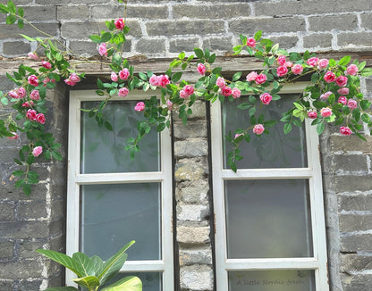 2X 6FT Fake Rose Garland, Flower Garland,Artificial Flower wild Rose Vine