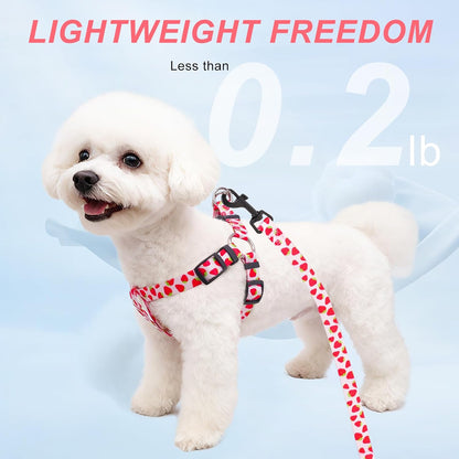Dog Harness Small Sized Dog Girl, No Pull Dog Harness and Leash Set,Step in Soft Light Puppy Vest, No Choke Heavy Duty Dog Halter with Bell,Breathable Adjustable Nylon Pet Harnesses, Pink S