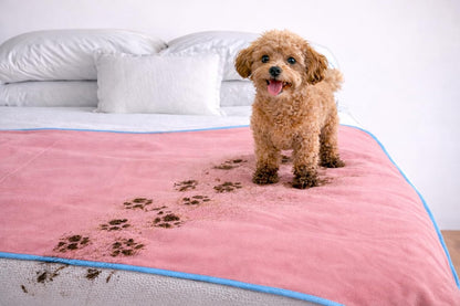 The Original Good-Time Pink/Blue Waterproof Blanket Jumbo 80x60