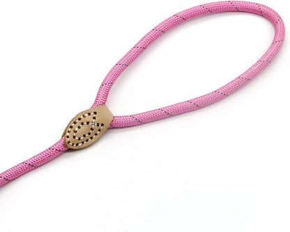 Durable Dog Slip Rope Leash, 5 FT Dog Training Leash, 10-80 lb