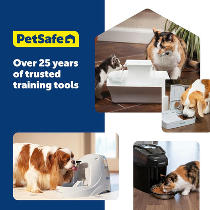 PetSafe Viva Cat Water Fountain (64oz/1.8L) Indoor Water Dispenser for Cats and Small Dogs, Stainless-Steel Bowl with Whisper Quiet Pump, Dishwasher Safe, Easy to Clean, Water Filters Included