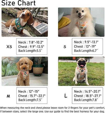 Dog Harness and Leash Set, Adjustable Dog Harness, Dog Leash, No Pull No Choke Puppy Harnesses for Walking Training for Small Medium Pet