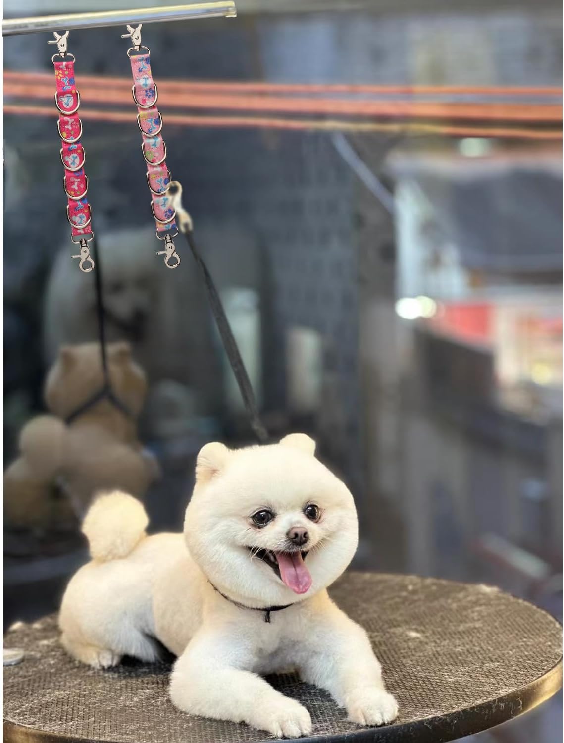 Dog Grooming Loop 2 Pack Dogs Grooming Table Arm Extension Straps Cute Unique Paw Pattern Double Snaps & 5 D-Ring Design Extender Strap for Pet Salon(Pattern-2)