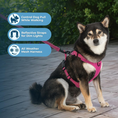 Voyager Dog Harness Dual Leash Attachment No-Pull Control Adjustable Soft but Strong Pet Harness for Medium and Large Dogs with 3M Reflective Technology, Fuchsia Nylon, M (Chest: 20-25")