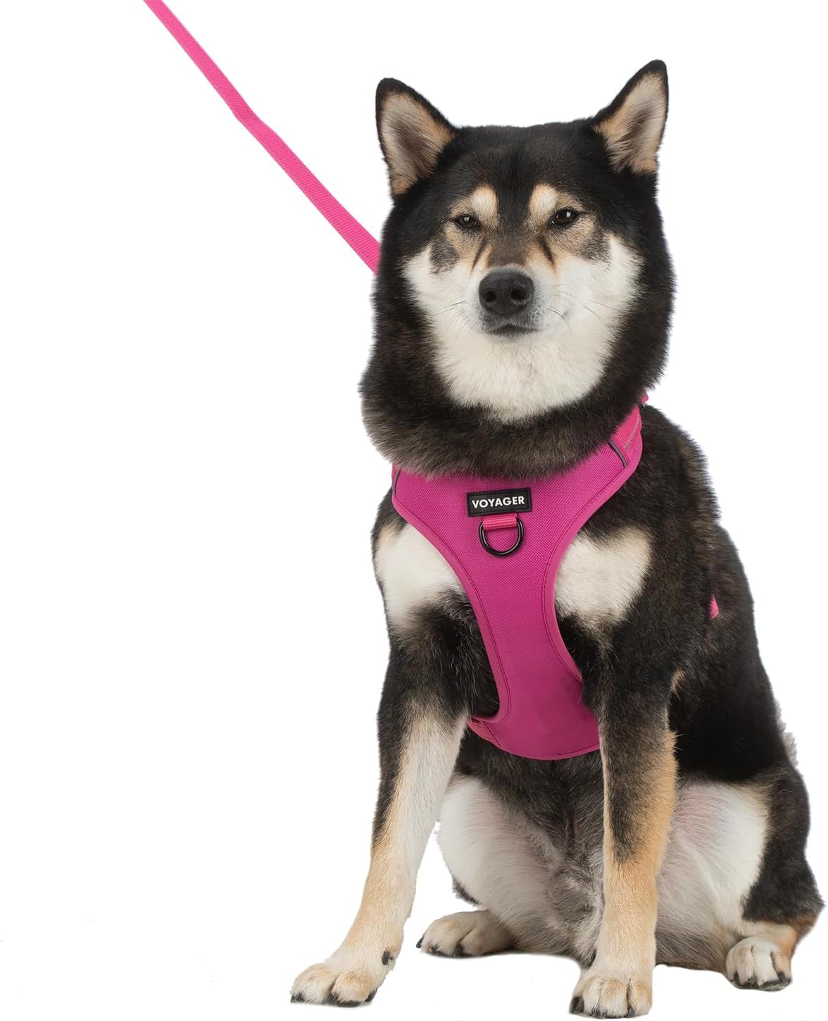 Voyager Dog Harness Dual Leash Attachment No-Pull Control Adjustable Soft but Strong Pet Harness for Medium and Large Dogs with 3M Reflective Technology, Fuchsia Nylon, M (Chest: 20-25")