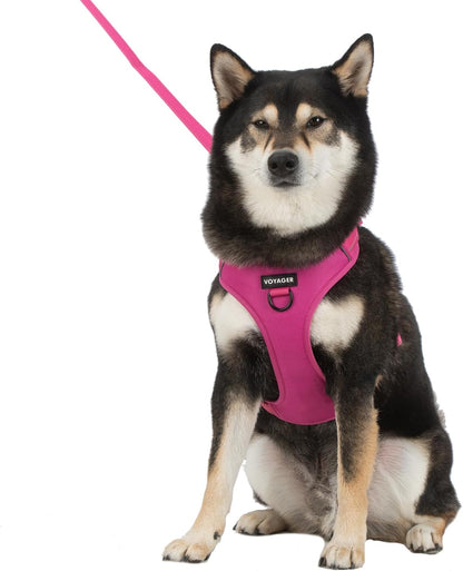 Voyager Dog Harness Dual Leash Attachment No-Pull Control Adjustable Soft but Strong Pet Harness for Medium and Large Dogs with 3M Reflective Technology, Fuchsia Nylon, M (Chest: 20-25")