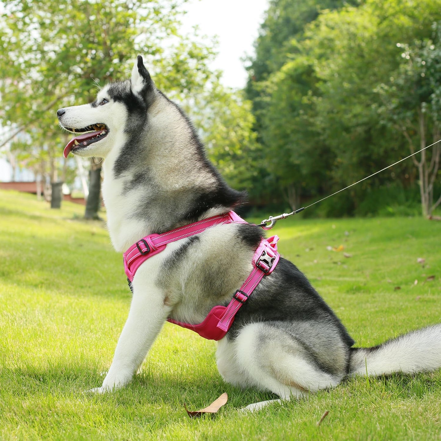 Voyager Dog Harness Dual Leash Attachment No-Pull Control Adjustable Soft but Strong Pet Harness for Medium and Large Dogs with 3M Reflective Technology, Fuchsia Nylon, M (Chest: 20-25")