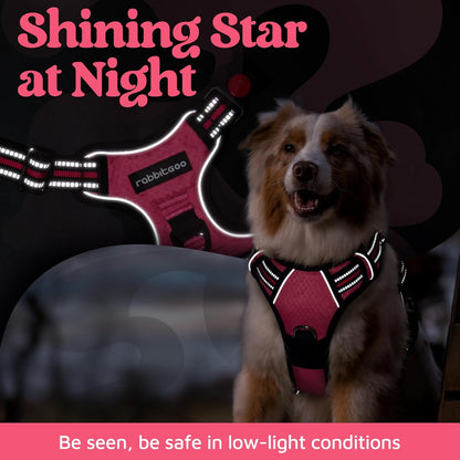 Dog Harness for Large, No Pull 3 Buckles Easy On & Off