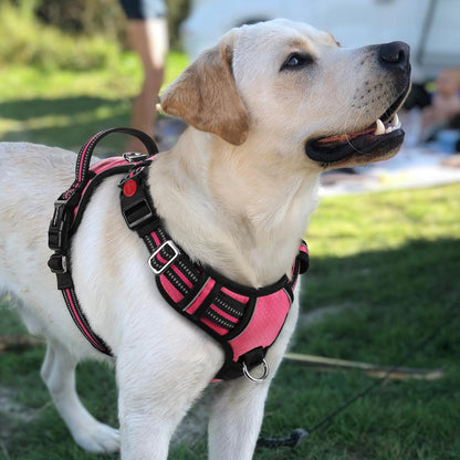 Dog Harness for Large, No Pull 3 Buckles Easy On & Off