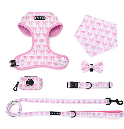 Small Dog Harness and Leash Set of 6, No Pull Soft Lightweight Mesh Puppy Harness, Adjustable Cute Floral Pattern Pet Harness for Small Medium Dogs