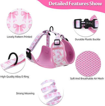 Small Dog Harness and Leash Set of 6, No Pull Soft Lightweight Mesh Puppy Harness, Adjustable Cute Floral Pattern Pet Harness for Small Medium Dogs