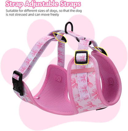 Small Dog Harness and Leash Set of 6, No Pull Soft Lightweight Mesh Puppy Harness, Adjustable Cute Floral Pattern Pet Harness for Small Medium Dogs