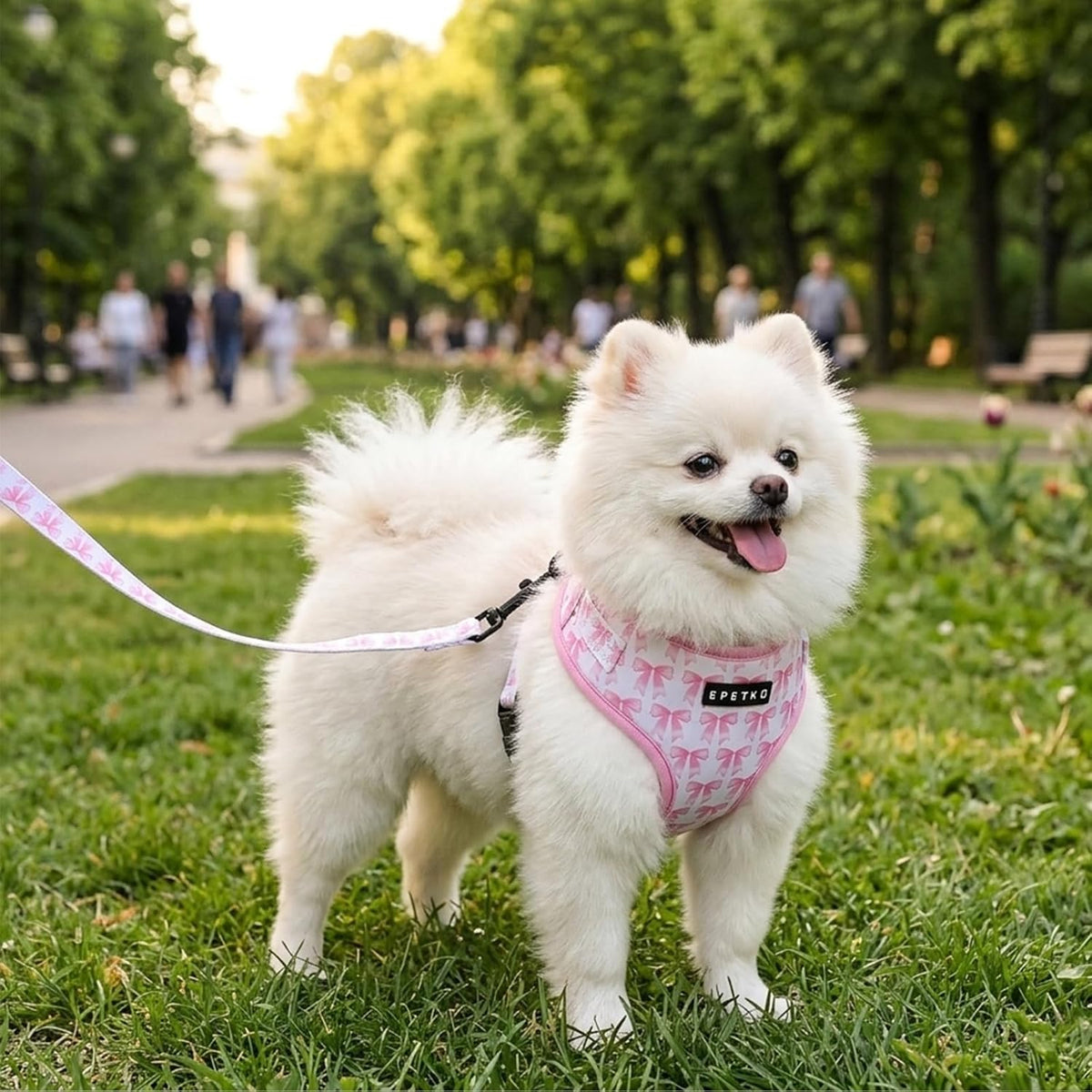Small Dog Harness and Leash Set of 6, No Pull Soft Lightweight Mesh Puppy Harness, Adjustable Cute Floral Pattern Pet Harness for Small Medium Dogs