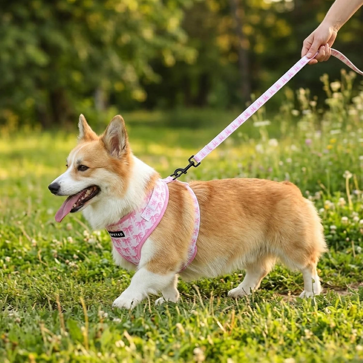 Small Dog Harness and Leash Set of 6, No Pull Soft Lightweight Mesh Puppy Harness, Adjustable Cute Floral Pattern Pet Harness for Small Medium Dogs