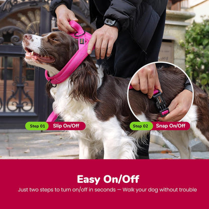 Didog No Pull Dog Harness with Breathable Mesh Padded,Reflective & Quick Fit Light Weight Dog Strap Vest Harness,Easy for Walking Training (XS:Chest 15-18", Mesh-Hot Pink)