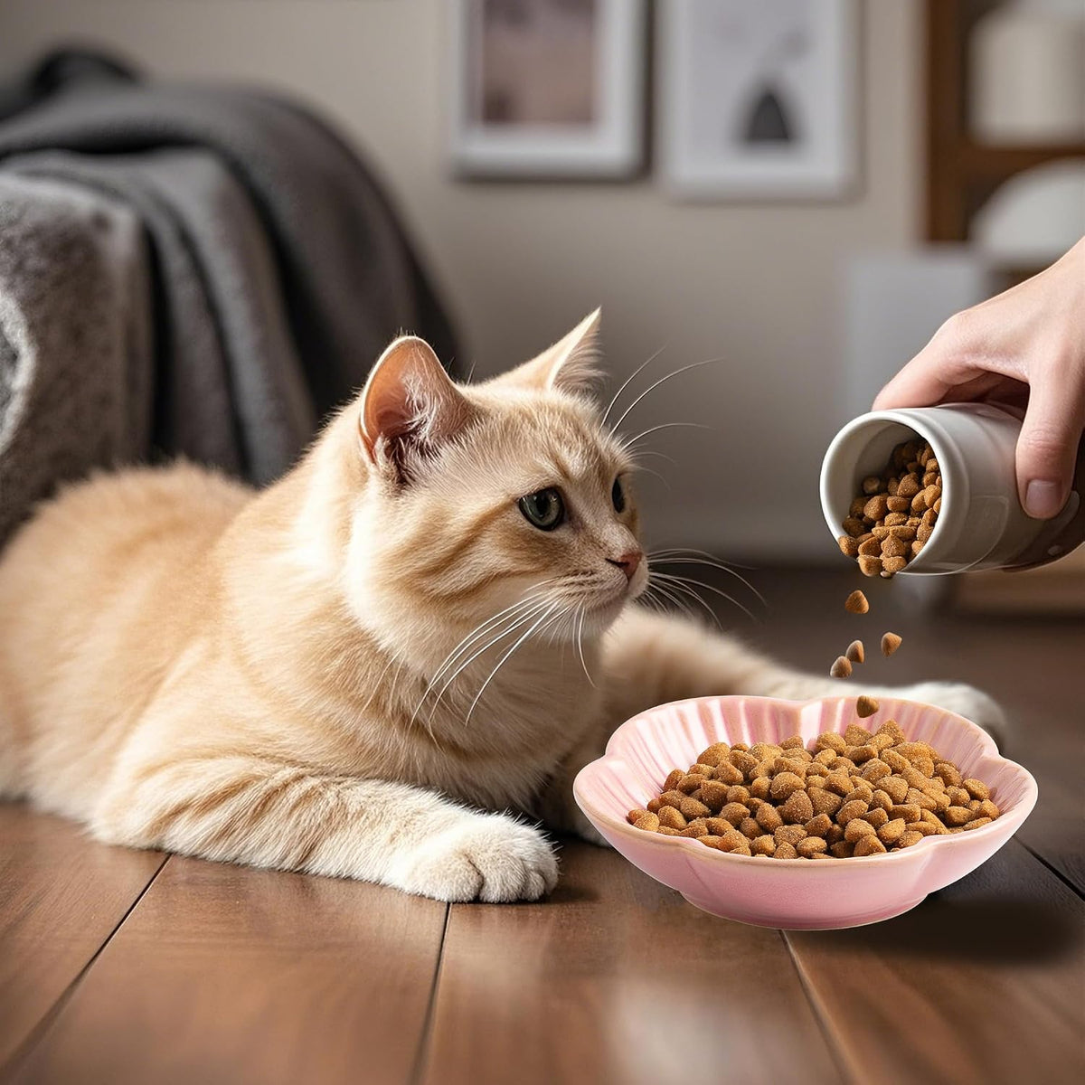 Ceramic Cat Food Bowls, Whisker Friendly Shallow Plates Set of 3