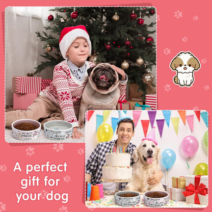 2 Pcs 5 Inch Ceramic Dog Bowls Dishes for Small Dogs, Pink, Gray