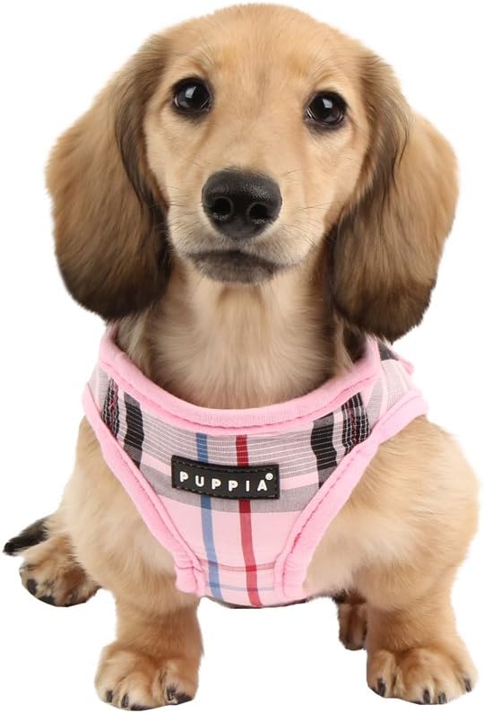 Authentic Junior Harness B, Small, Pink