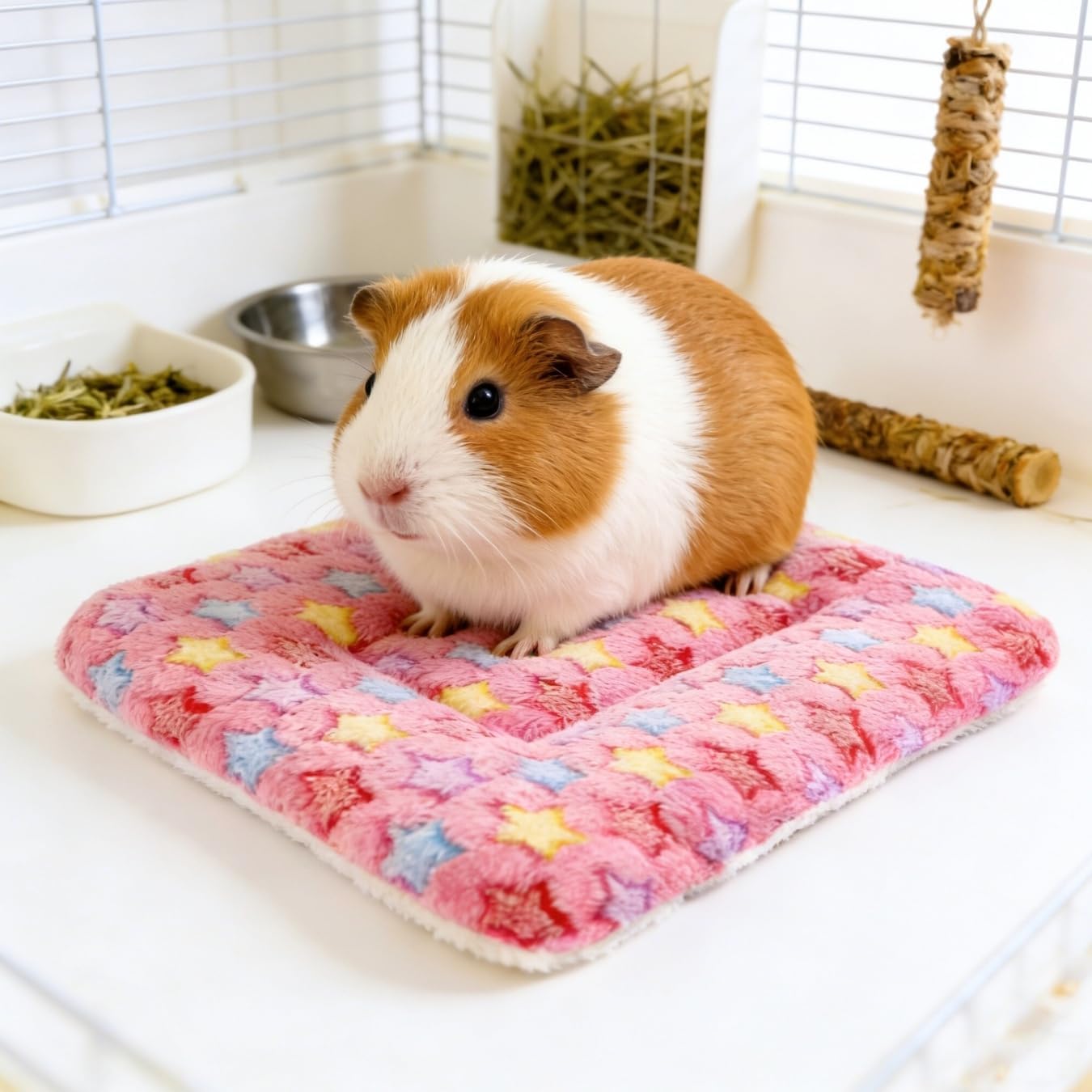 Guinea Pig Bed, 2 Pack (12x10 Inch) Soft Plush Small Animal Bed Mat, Washable Bedding Blanket Sleeping Warm Pad for Bunny, Rat, Ferret, Chinchilla