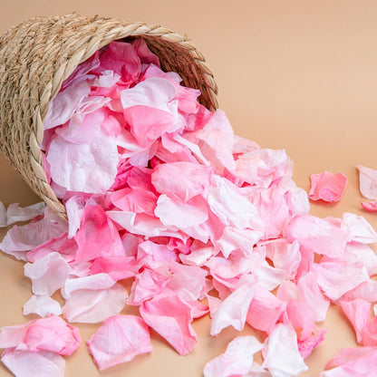 Dried Light Pink Rose Petals, 35g/1.2oz Forever Freeze Pink Flower Petals for Wedding, Flower Girl Petals for Proposal, Basket, Pink and White Rose Petals Dried Flower Confetti Crafts, Bridal Shower