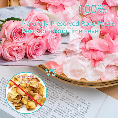 Dried Light Pink Rose Petals, 35g/1.2oz Forever Freeze Pink Flower Petals for Wedding, Flower Girl Petals for Proposal, Basket, Pink and White Rose Petals Dried Flower Confetti Crafts, Bridal Shower
