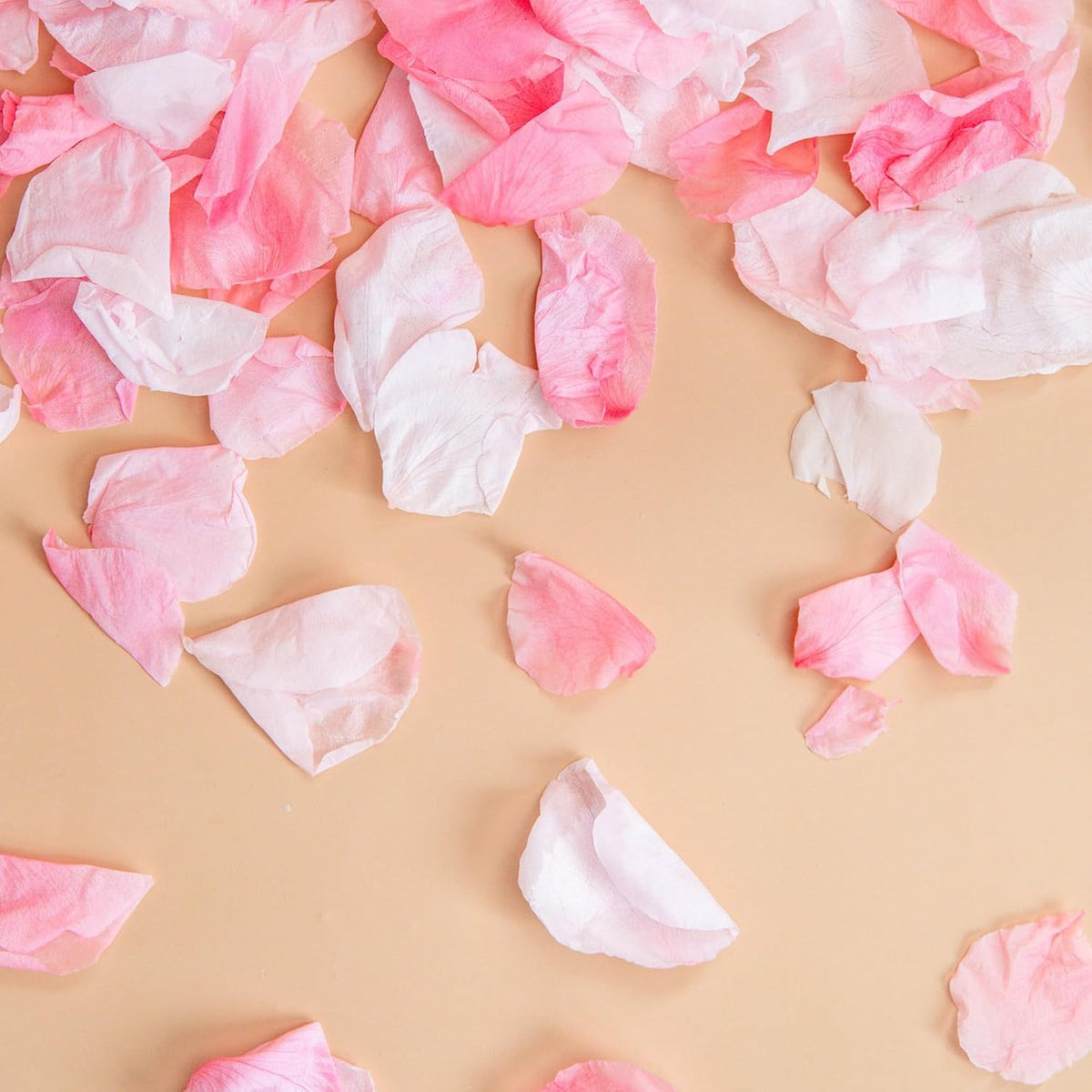 Dried Light Pink Rose Petals, 35g/1.2oz Forever Freeze Pink Flower Petals for Wedding, Flower Girl Petals for Proposal, Basket, Pink and White Rose Petals Dried Flower Confetti Crafts, Bridal Shower