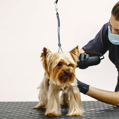 GROOMER ESSENTIALS Waterproof Grooming Loop - Gray