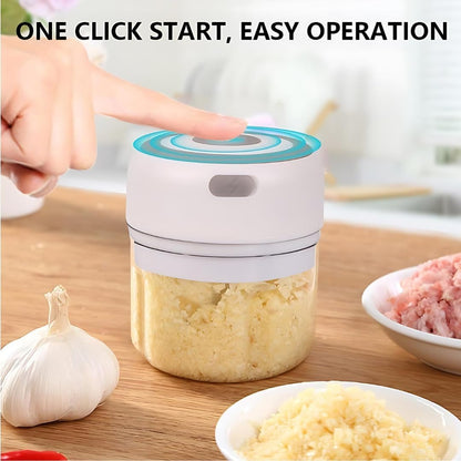 Electric Baby Food Maker & Garlic Chopper, USB Rechargeable Mini Processor, Easy Clean Design, 250ML (Pink)