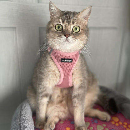 Voyager Step-in Air Cat Harness & Leash Set - Pink, S