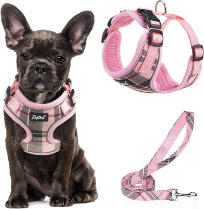 Small Dog Harness and Leash Set No Pull for XS XXS Sized Dogs Puppy