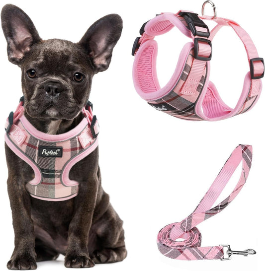 Small Dog Harness and Leash Set No Pull for XS XXS Sized Dogs Puppy