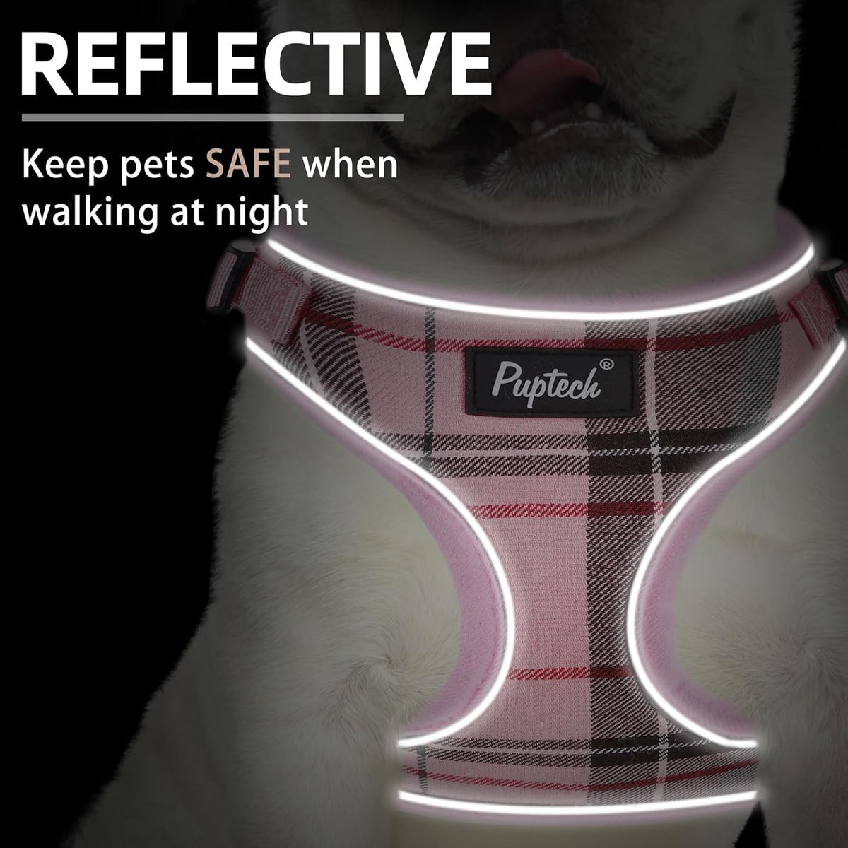 Small Dog Harness and Leash Set No Pull for XS XXS Sized Dogs Puppy