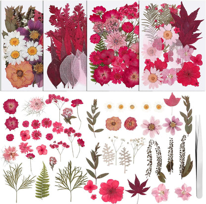 100 Pcs Real Natural Dried Pressed Flowers Pink