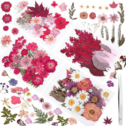 100 Pcs Real Natural Dried Pressed Flowers Pink