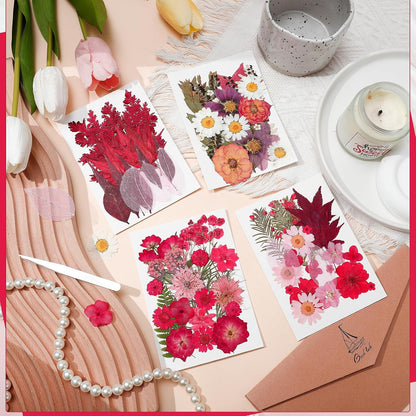 100 Pcs Real Natural Dried Pressed Flowers Pink