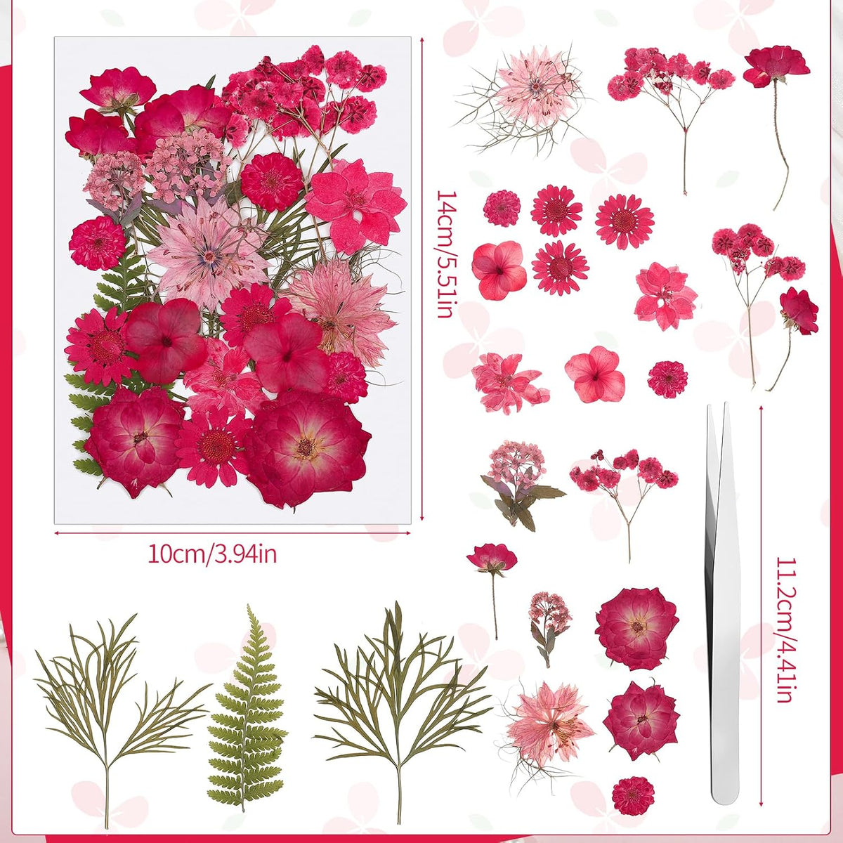 100 Pcs Real Natural Dried Pressed Flowers Pink