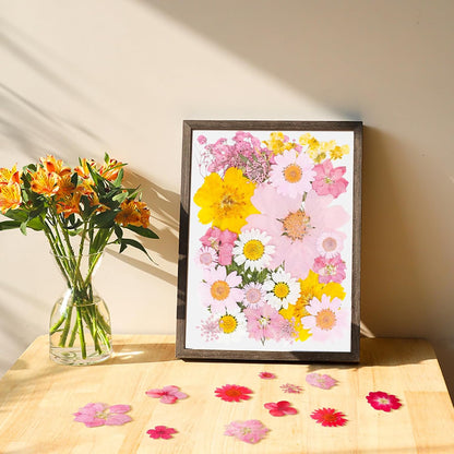 30Pcs Dried Pressed Flowers Bulk Dried Flowers for Crafts, Dry Flowers for Resin Molds DIY Scrapbooking Candle Jewellery Making (Pink)