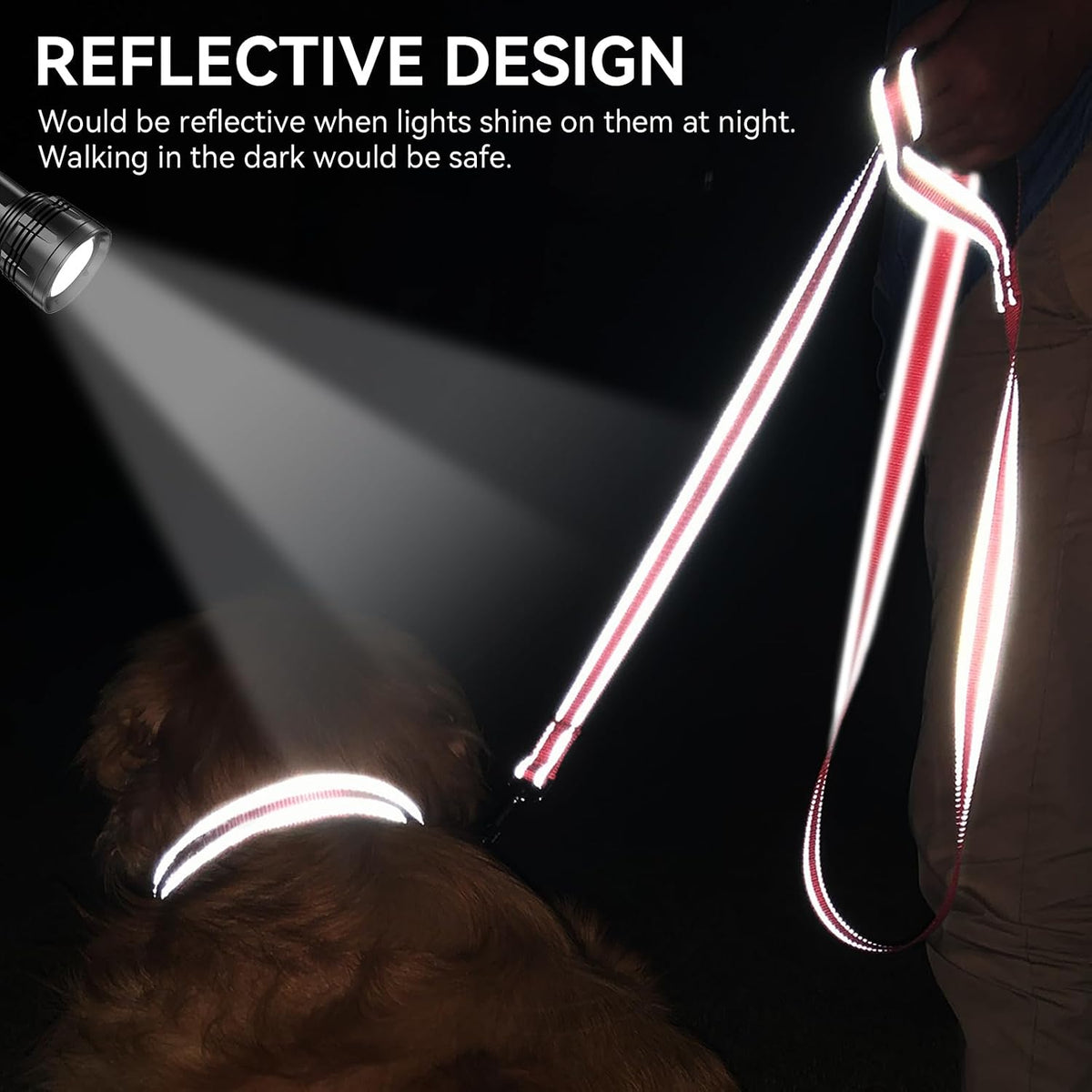 Reflective Dog Leash for Small Dogs, 6 FT x 3/4", Neon Pink