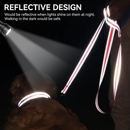 Reflective Dog Leash for Small Dogs, 6 FT x 3/4", Neon Pink