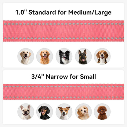 Reflective Dog Leash for Small Dogs, 6 FT x 3/4", Neon Pink