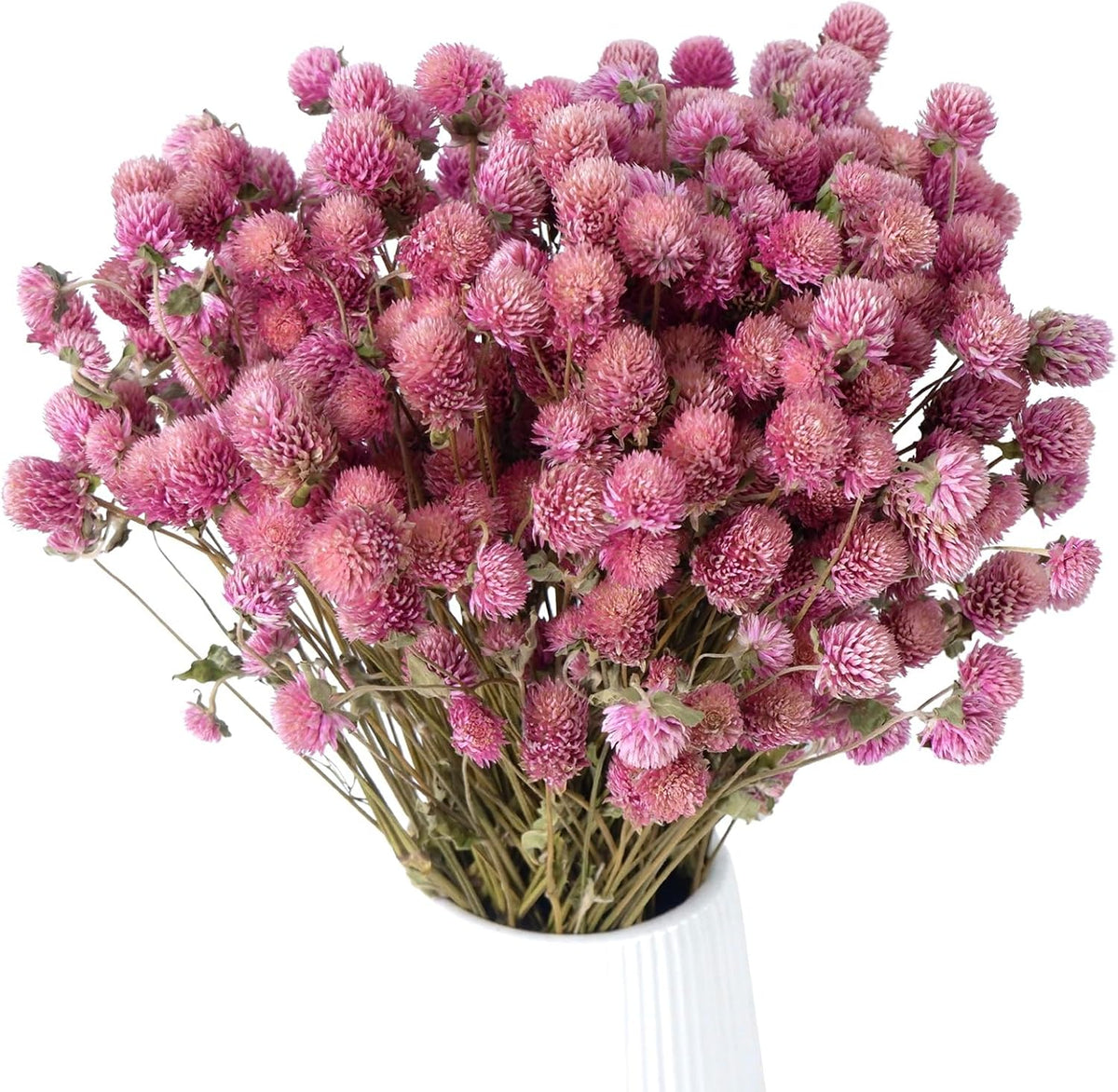 100Pcs+ Pink Dried Globe Amaranth Flowers, Natural Gomphrena Home Decor