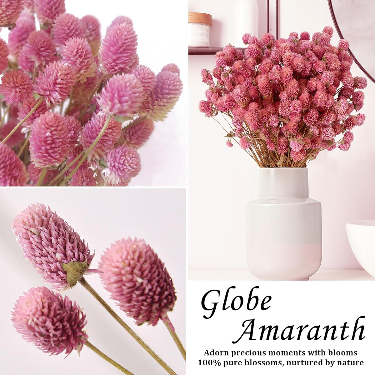 100Pcs+ Pink Dried Globe Amaranth Flowers, Natural Gomphrena Home Decor