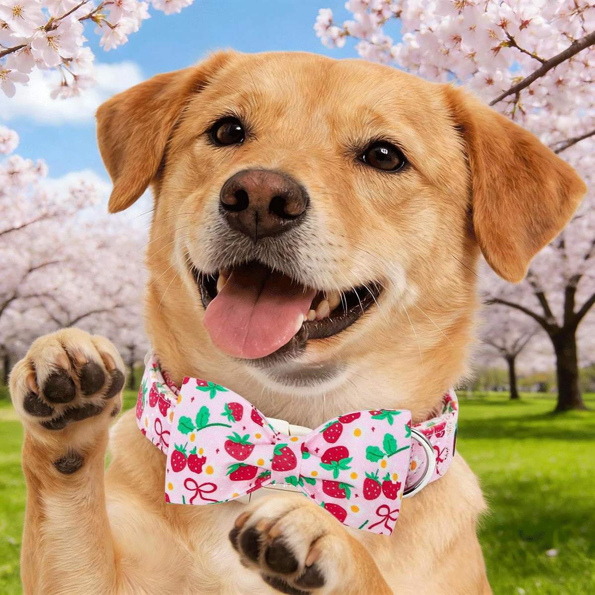 Dog Collars, Spring Red Strawberry Print Cotton Collar Pink Adjustable Light Plastic Buckle Collar with Bow Pet Collar Gift for Small Dogs