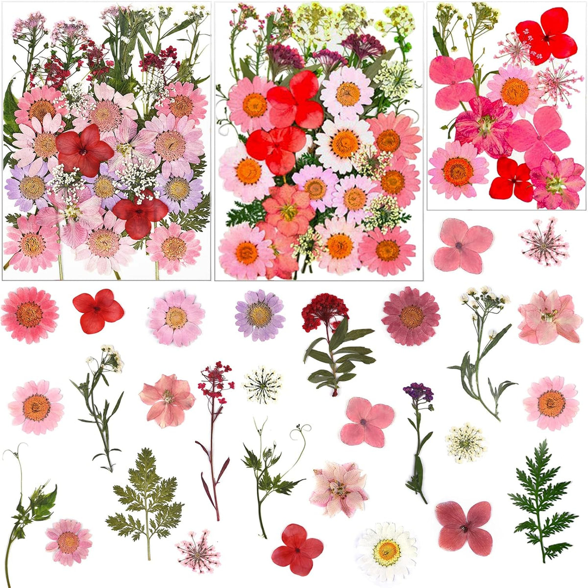 83 Pcs Pink Real Dried Pressed Flowers Natural Leave Petals for DIY Resin Molds Candle Jewelry Nail Crafts