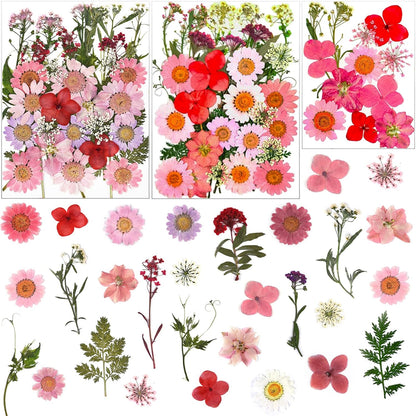 83 Pcs Pink Real Dried Pressed Flowers Natural Leave Petals for DIY Resin Molds Candle Jewelry Nail Crafts