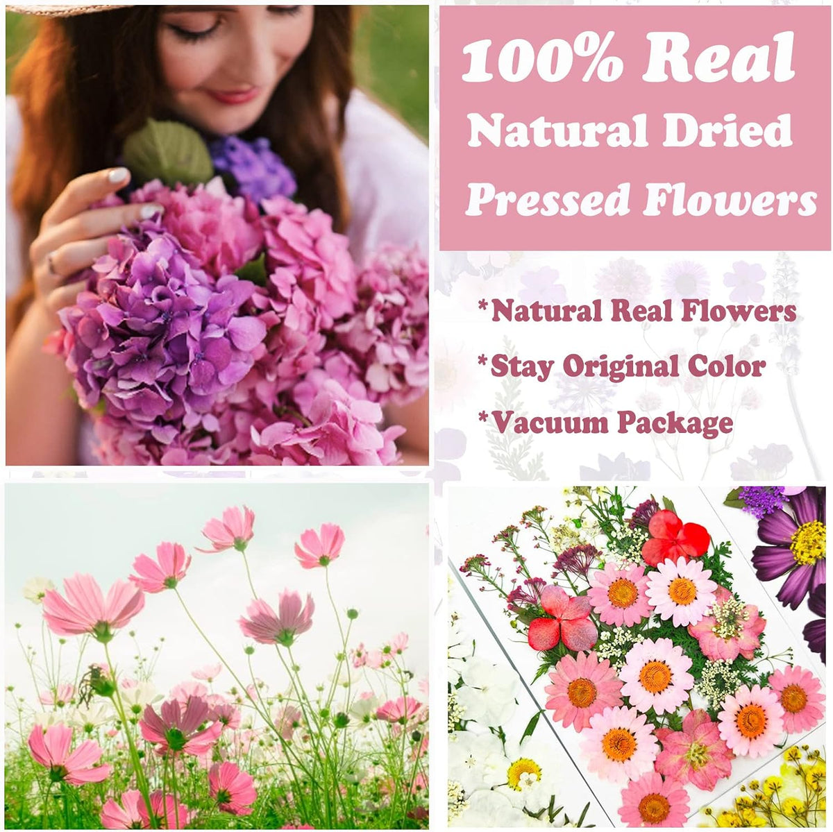 83 Pcs Pink Real Dried Pressed Flowers Natural Leave Petals for DIY Resin Molds Candle Jewelry Nail Crafts