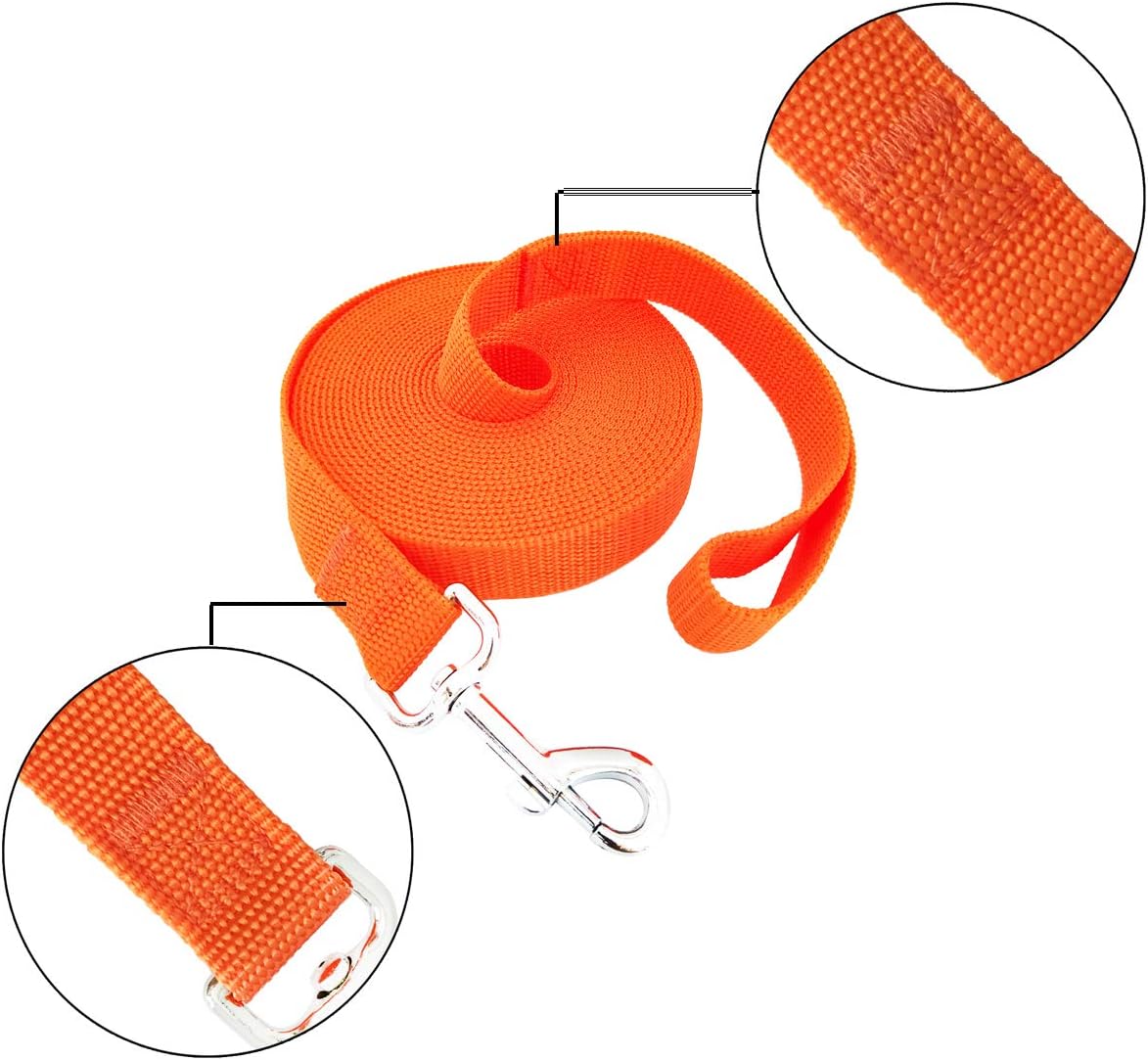 SALO Nylon Training Dog Leash for Small Medium Large Dogs, 1 Inch Wide, 20ft 30ft 40ft 50ft Long Leash Dog/Puppy Lead for Obedience Recall Training, Camping, or Backyard (20 Foot, Orange)