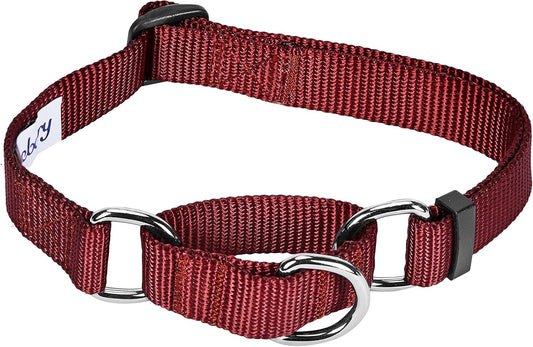 Blueberry Pet Essentials Martingale Safety Training Dog Collar, Fired Brick, Small, Heavy Duty Nylon Adjustable Collars for Dogs